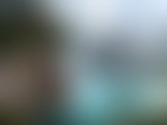 Black Desert Mobile dévoile une extension