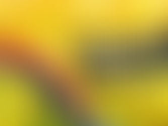 Atari lance RollerCoaster Tycoon Classic sur Nintendo Switch le 5 décembre