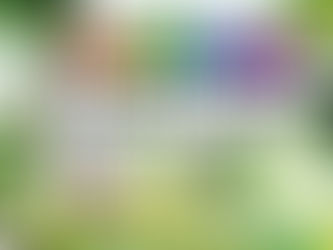 [Preview] On a redonné des couleurs au monde de Painter Simulator