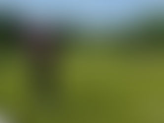 [Test][PlayStation 5] EA SPORTS PGA TOUR