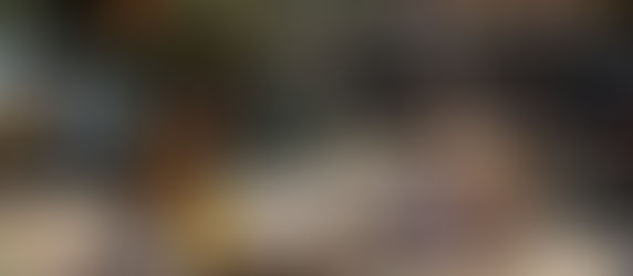 KRAFTON annonce la sortie d'inZOI en Q1 2026