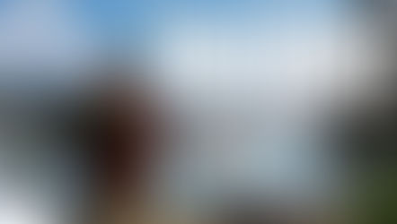 Early Access Steam The Gold River Project