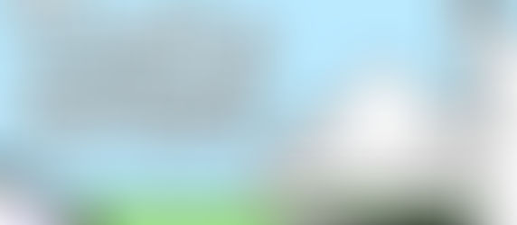 Test Steam Tingus Goose