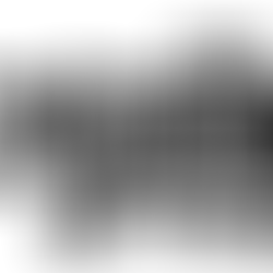 Le Royaume du TCG dévoile son programme