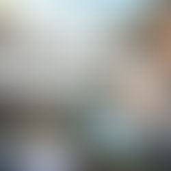 Early Access Steam Ranger’s Path: National Park Simulator