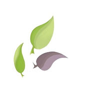 Logo feuilles Tr.jpg