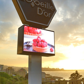 l_abeille-dor-u6-mm-outdoor-3-x-2-m-2.jpg