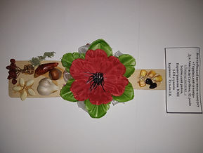 IMG_20201130_140419.jpg