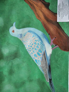 IMG_20201102_100757.jpg