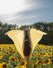 IMG-67d96a6d2841a673661bae085412ad2c-V.jpg