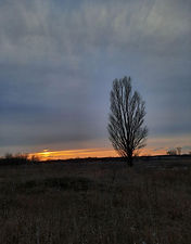 Безименна Каміла.Вечірня тиша.jpg