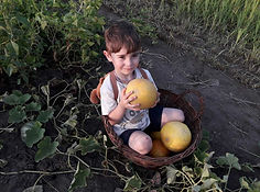 Сонечко в руках.jpg