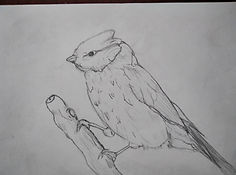 IMG_20211105_145154.jpg