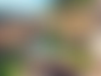 Canais de água cristalina atravessando casas de pedra em Rasiglia.