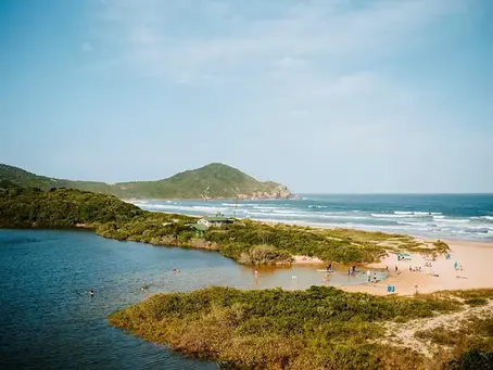 Vista panorâmica da Praia do Rosa em Imbituba, com mar azul e vegetação nativa ao redor – um dos destinos mais desejados do litoral de Santa Catarina.