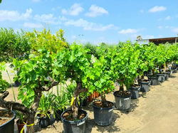 194360352_10225694504006661_3418182391403543981_n