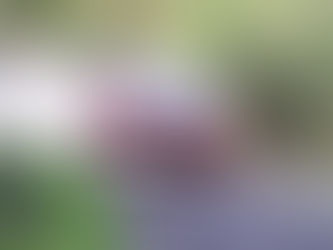 NU INVADERAR VEC NORGE 14 JUNI