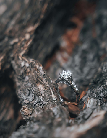 The ring-01.jpg