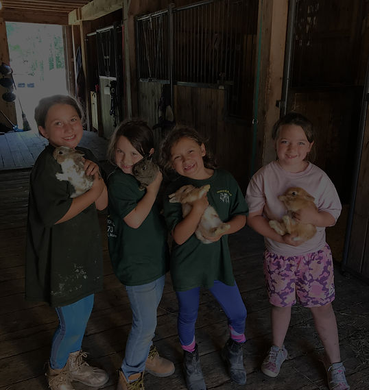 triple-c-stable-summer-camp-banner.jpg