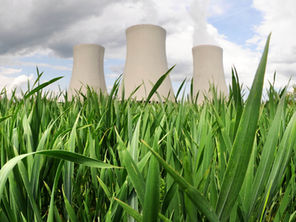 The Role of Proprietary Solvents and Catalysts in Refining and Petrochemical Processes