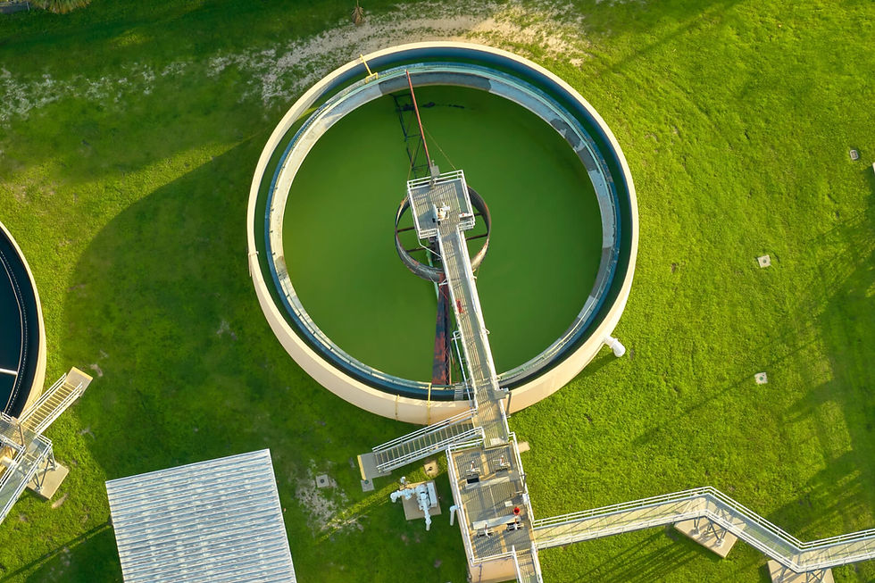 esterification and hydrolysis process within a Sulzer reactive distillation column