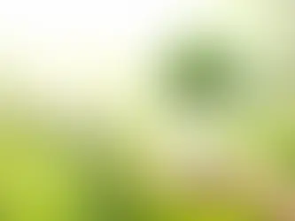 From UCO to Category 1 Tallow: How BioFlux™ De‑Risks Difficult SAF Feedstocks