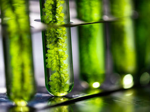 GT-BTX™: Unlocking Exceptional Aromatics Recovery in Refineries