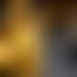 Flexible Batch and Continuous Solvent Extraction & Separation with Sulzer EXCELOT