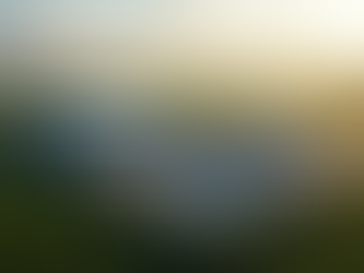 Transforming Agricultural Residues into Sustainable Aviation Fuel: Innovations in Lignocellulosic Technology for a Greener Future - Discover More!