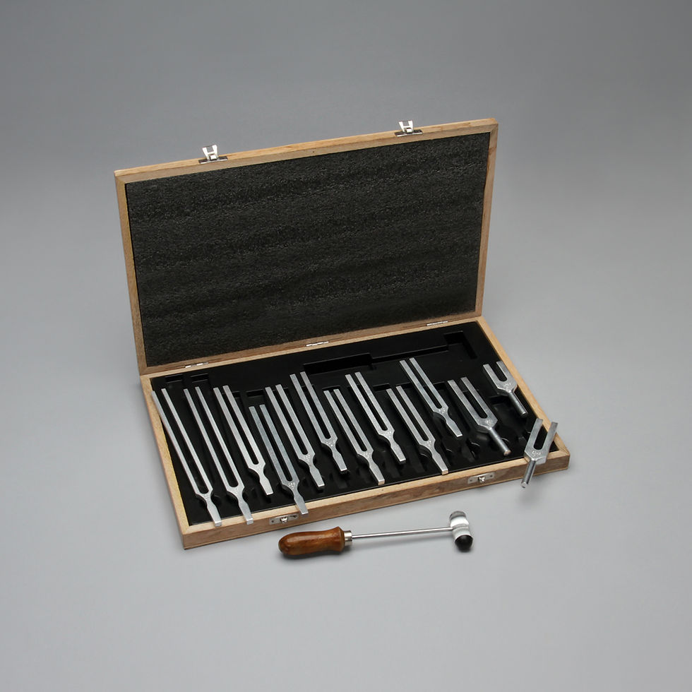 Tuning Forks, Set of 13