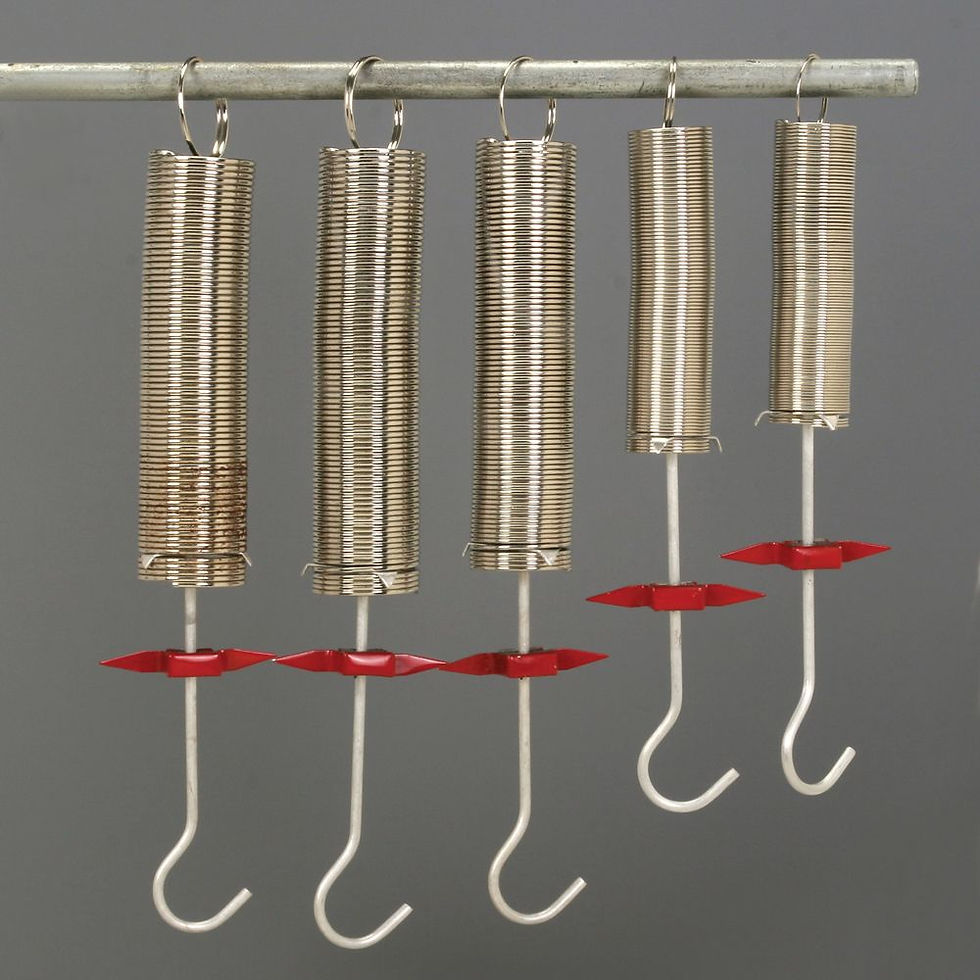 Hooke's Law Spring Set
