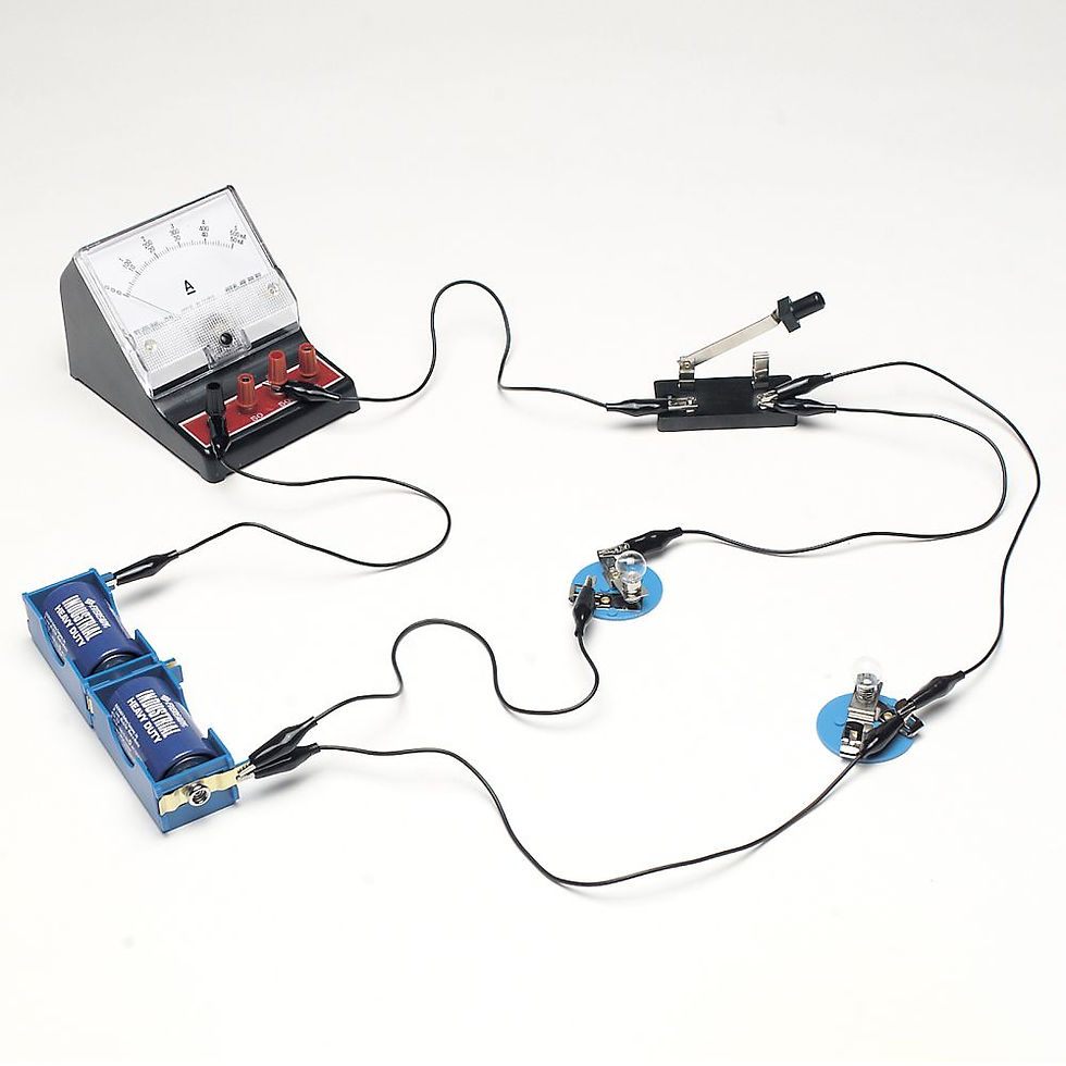 Thumbnail: Carolina® Introduction to Electricity Kit