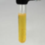 Thumbnail: Carolina Chemonstrations®: Reaction Types Kit