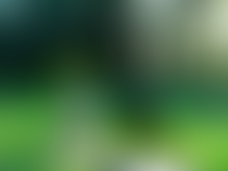 「お母さんに特典」とは?