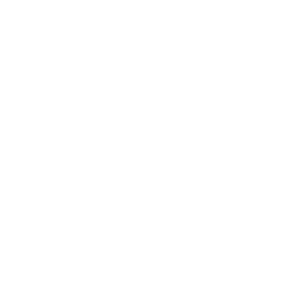 JetEx Logo