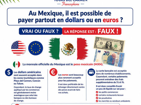 🇲🇽 Au Mexique, il est possible de payer partout en dollars ou en euros ? 💵💶
