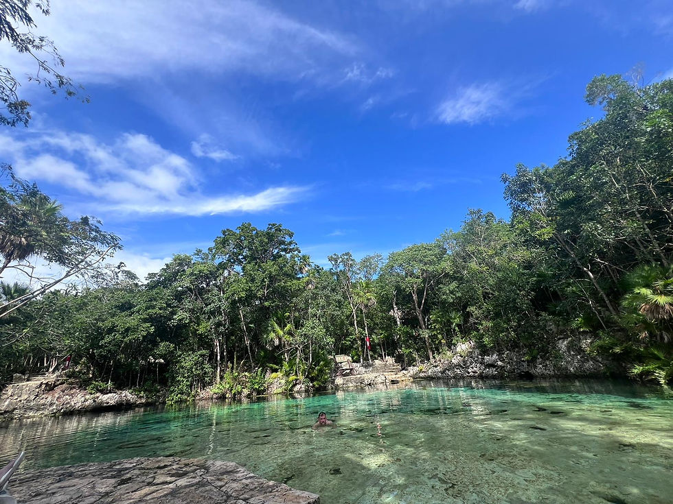 de790345-556b-42c1-989a-0eda81e160ff