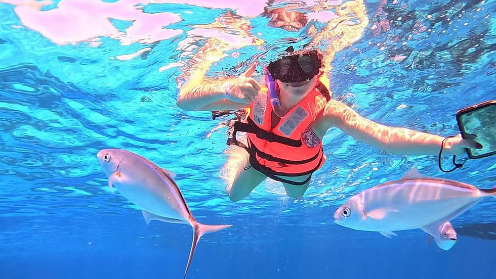 55603852-0fb9-4230-bdfe-31eb94064087