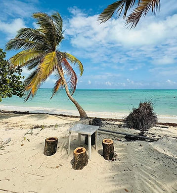 WhatsApp Image 2025-05-27 at 2.48.59 PM (2).jpeg