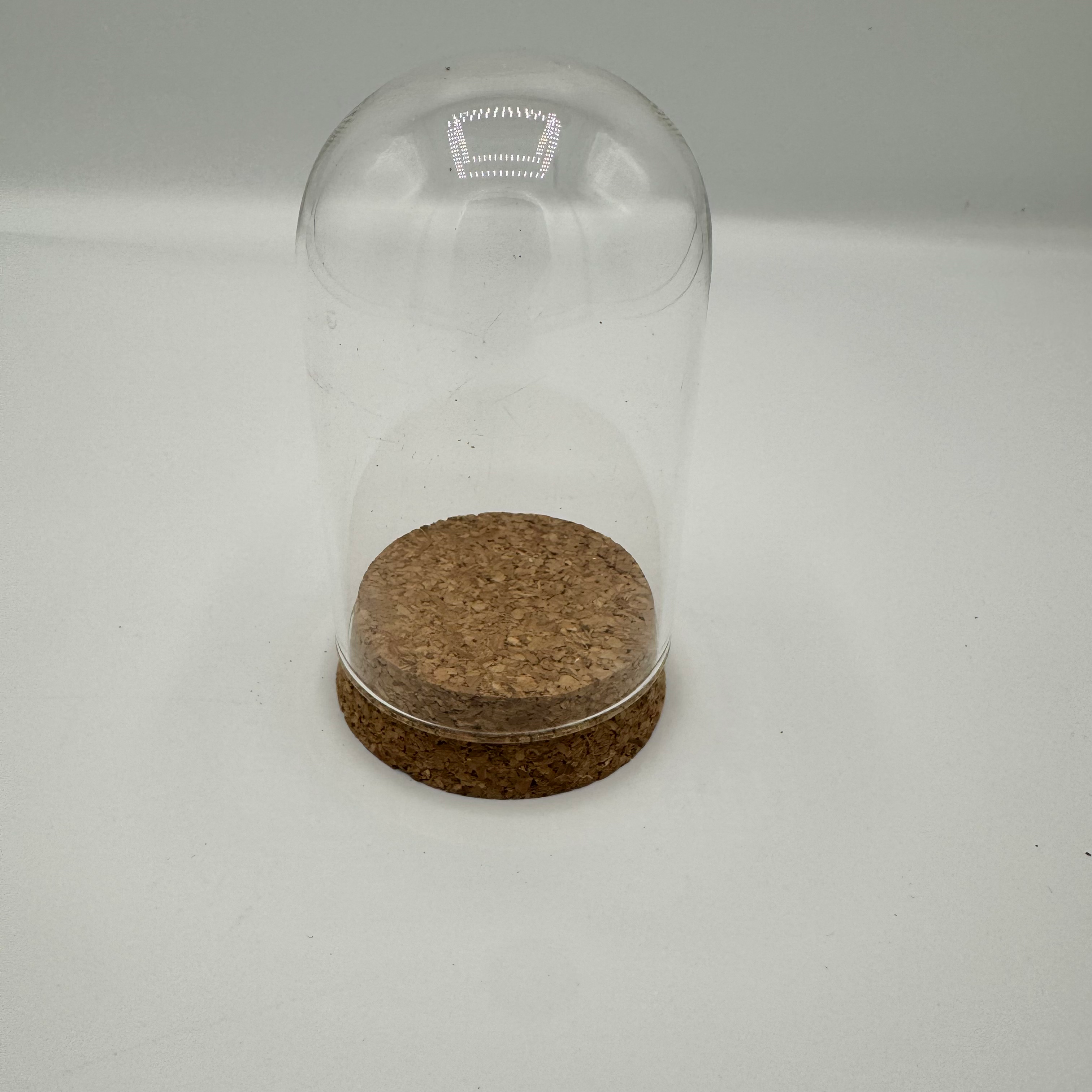 1x 6x10cm glass bell jar/clouche with cork bottom 