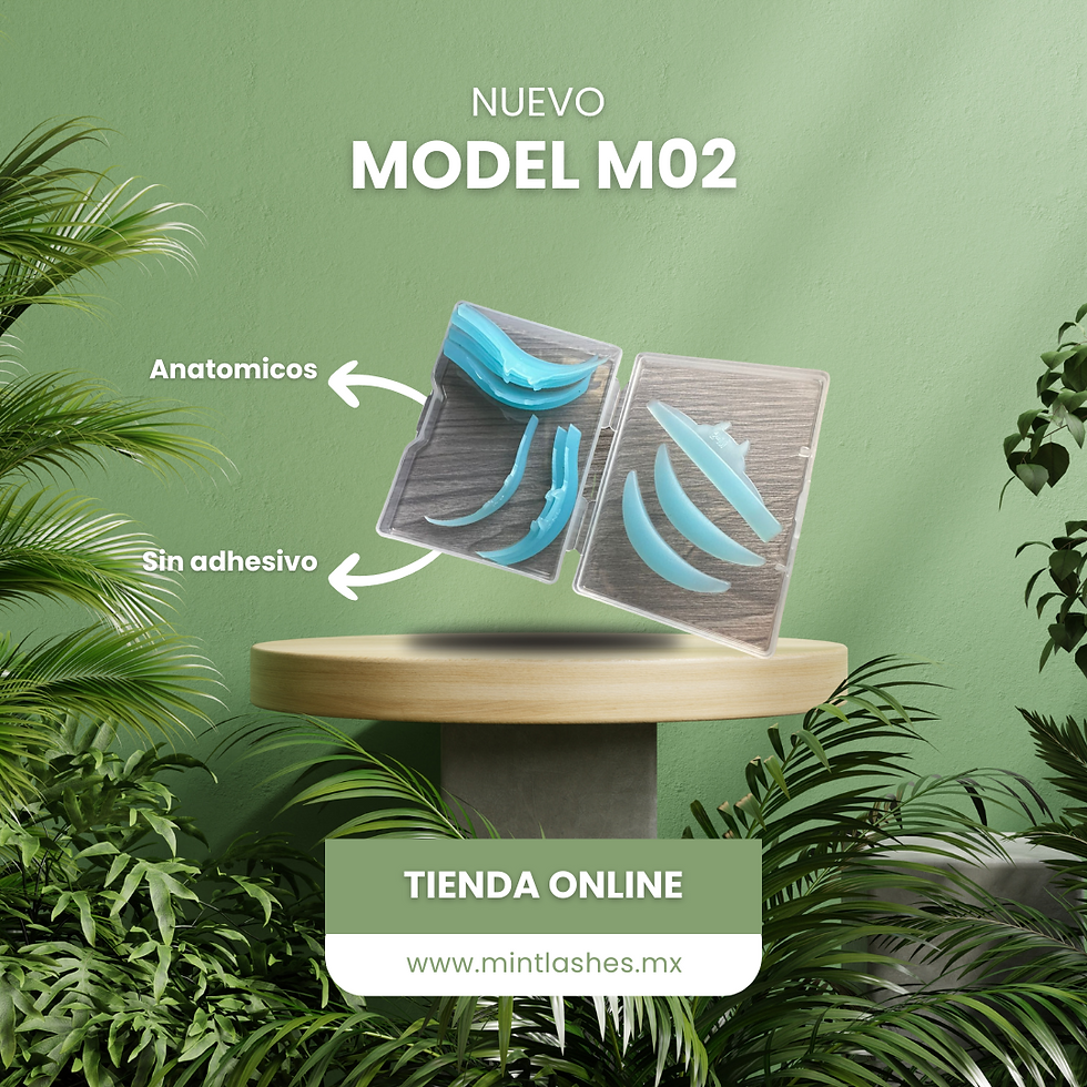 Miniatura: MODELO M01-02