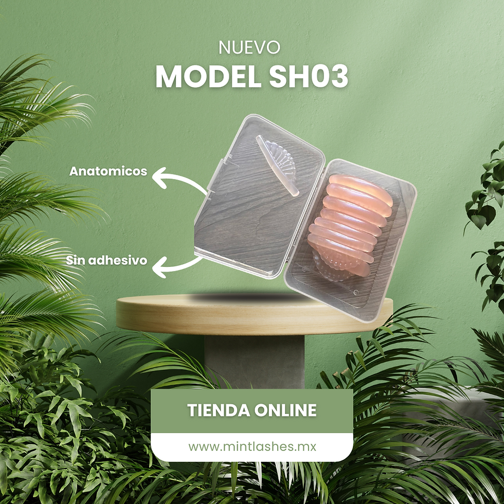 Miniatura: MODELO SH