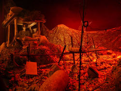 1917, entre mutineries et espoirs