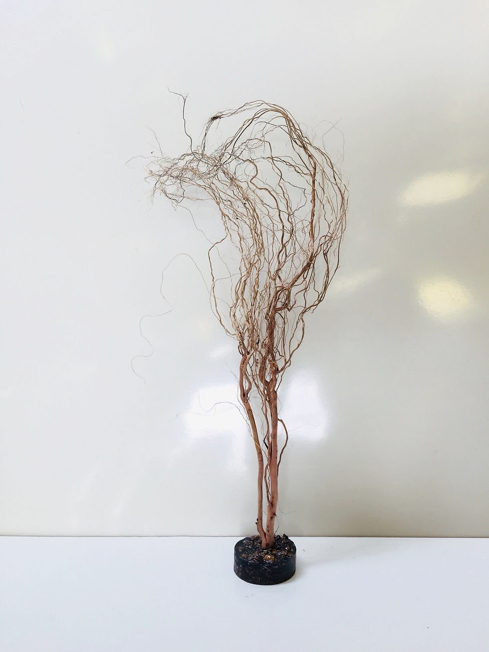 Thumbnail: Natural Root with Base