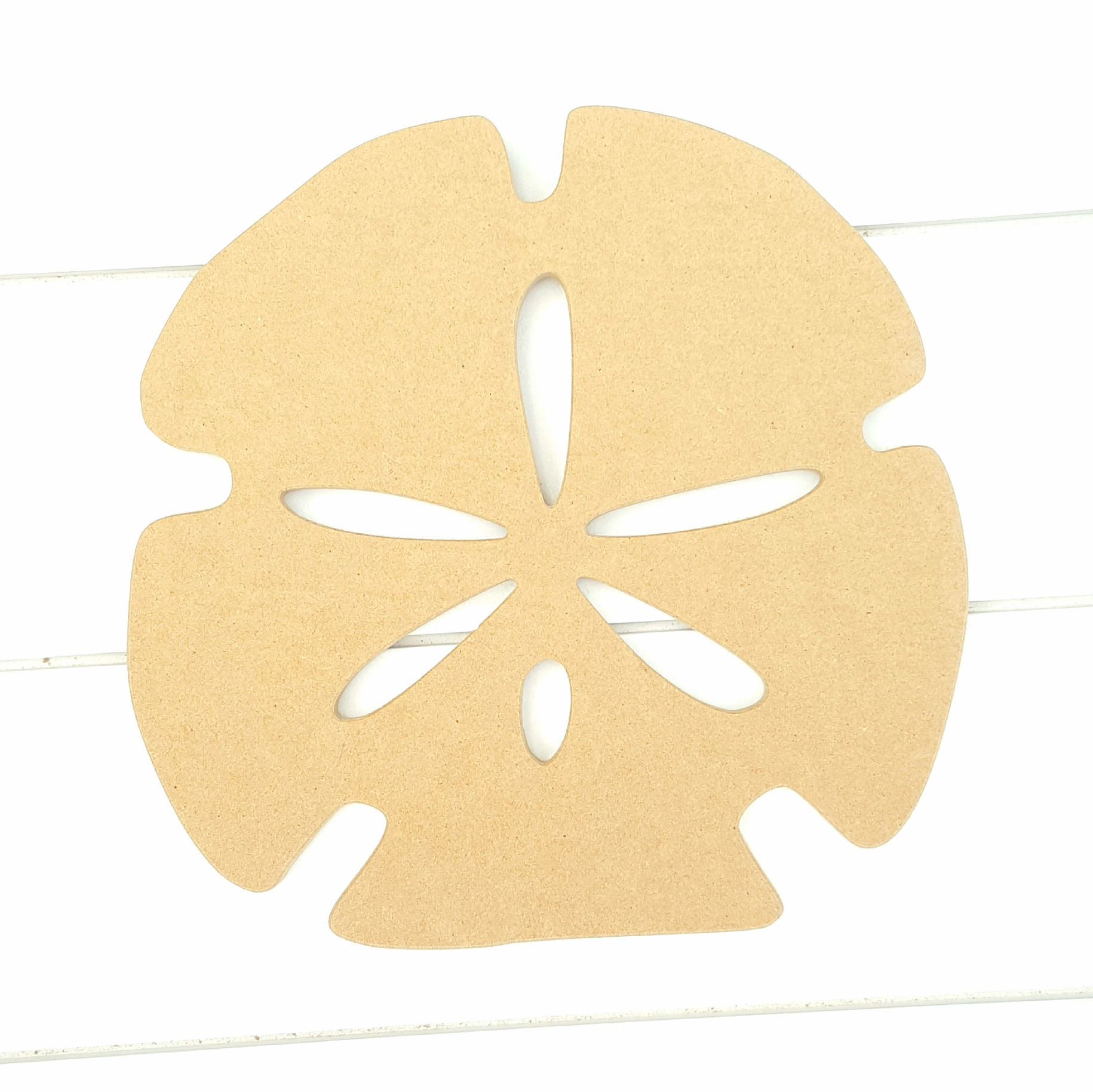 Sand Dollar Cut Out / DIY Kit