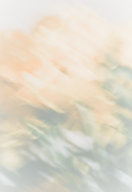 _edited_edited_edited.png
