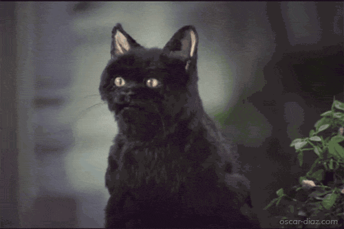 Original Salem.gif