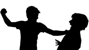 PRINCIPIO DE AUTONOMÍA PROGRESIVA