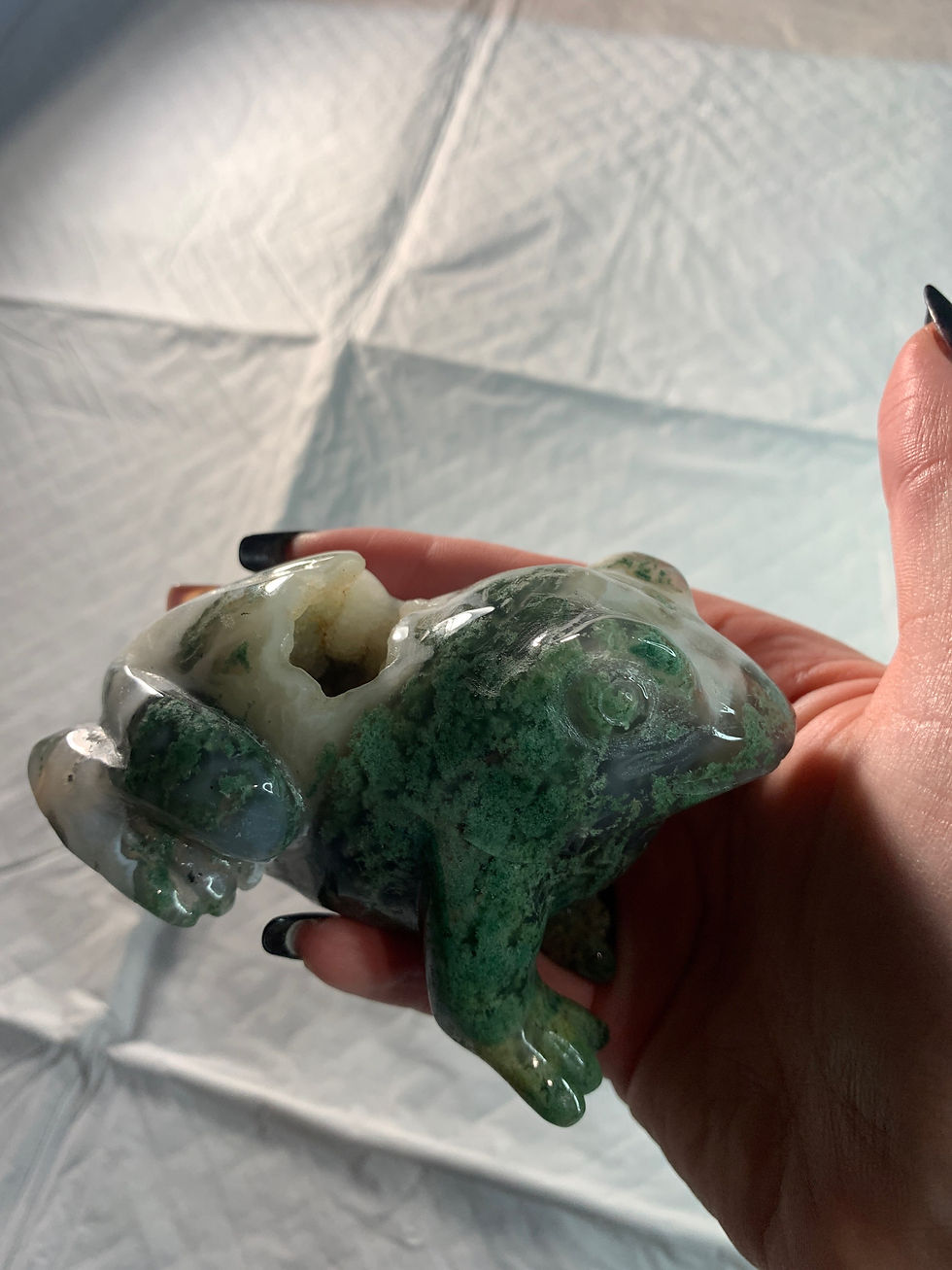 Thumbnail: Moss agate frog