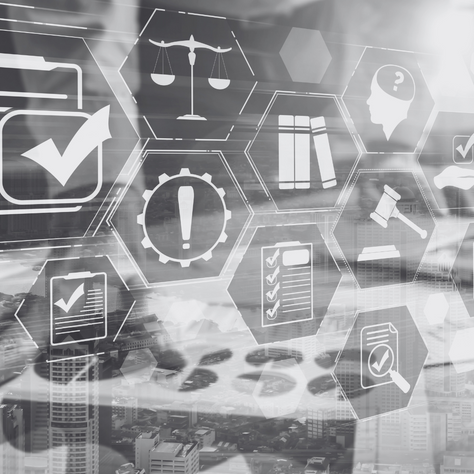  Suspendisse fermentum orci